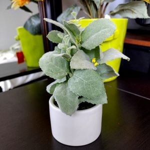 Faux Plant
